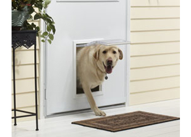 close up of Andersen storm door with dog door